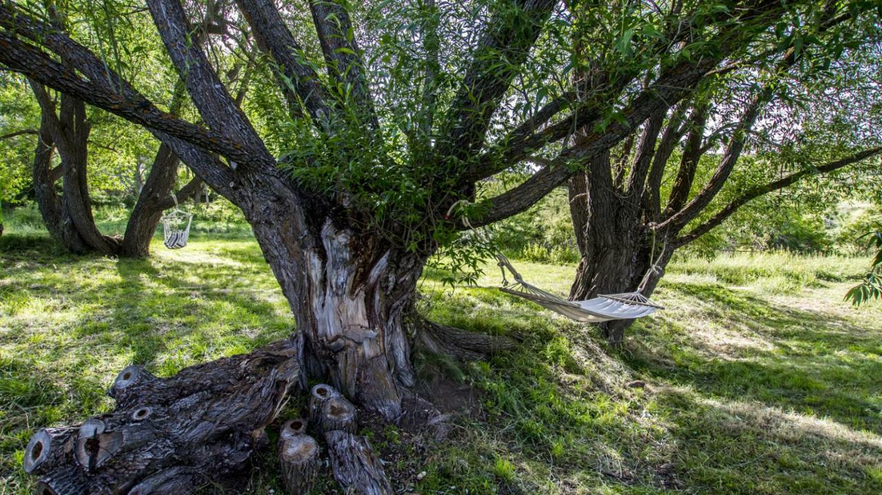 Masia El Cabrero Villarroya de los Pinares Εξωτερικό φωτογραφία